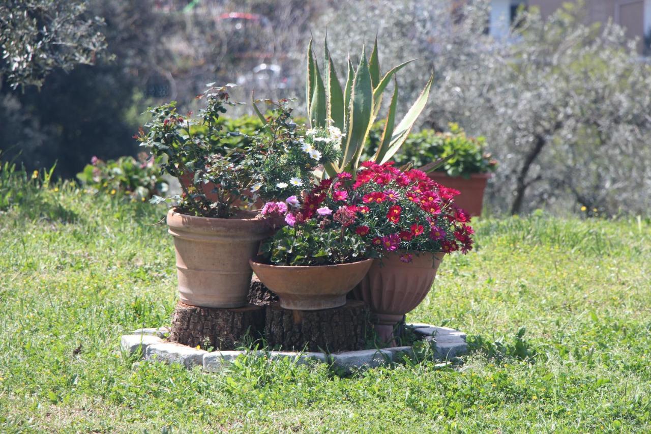 B&B La Terrazza di Frascati Esterno foto